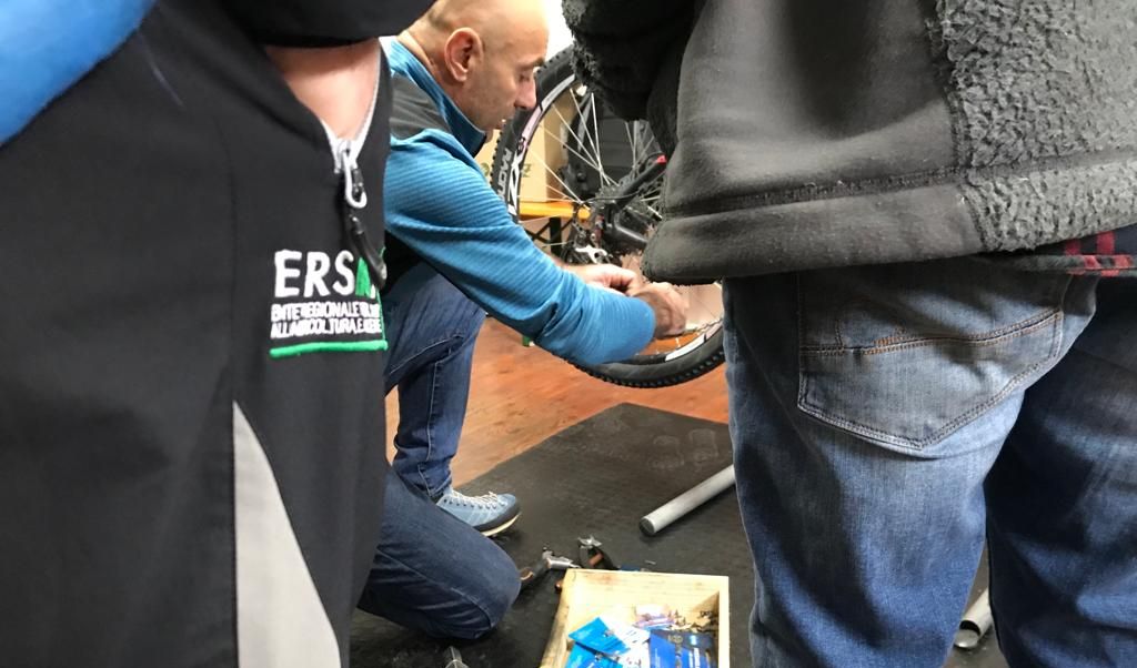 Bild der Nachrichten