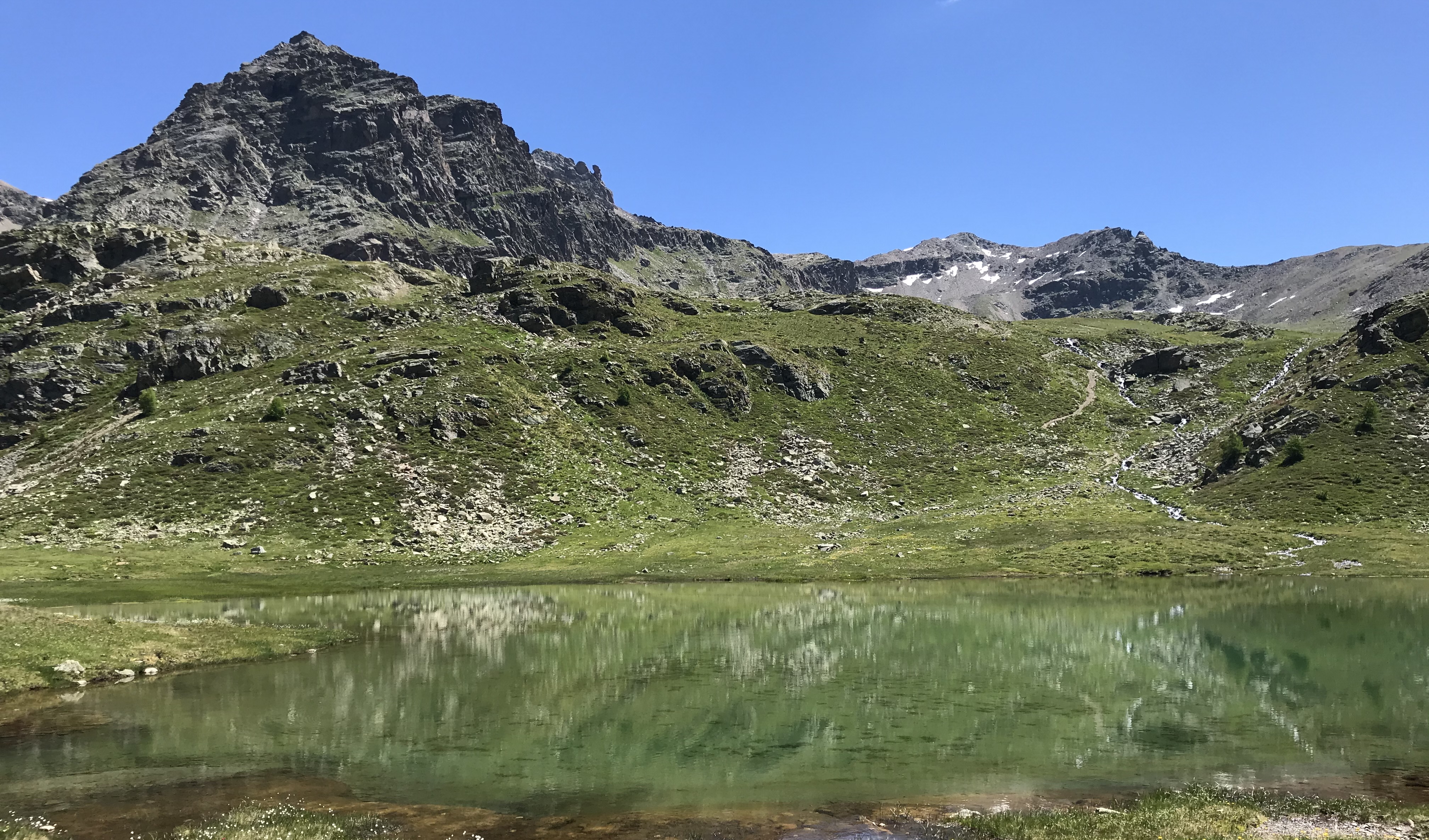 Bild der Nachrichten